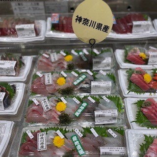 刺身２
