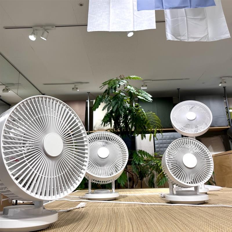 観葉植物とサーキュレーターアップ