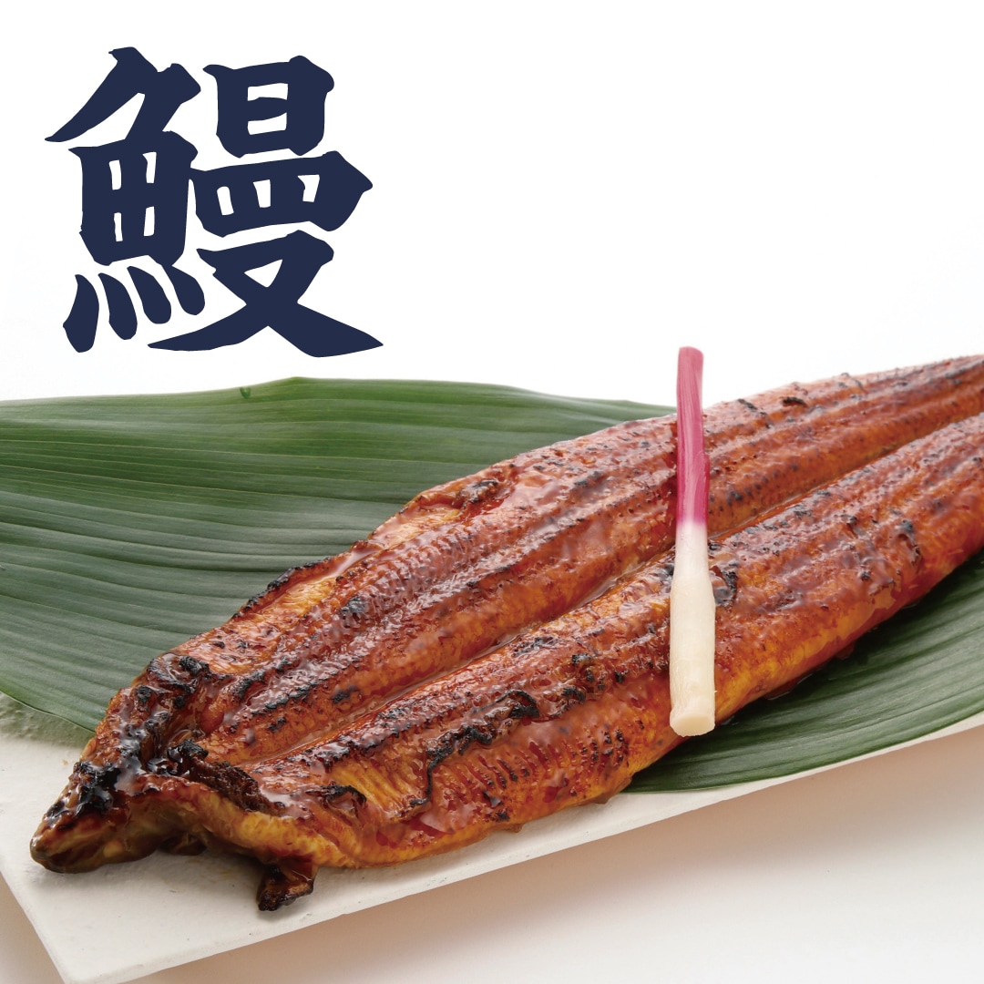 【堺北花田】北海道・大阪・泉州うまいもん市はじまります｜生鮮食品売場から_1axbP5