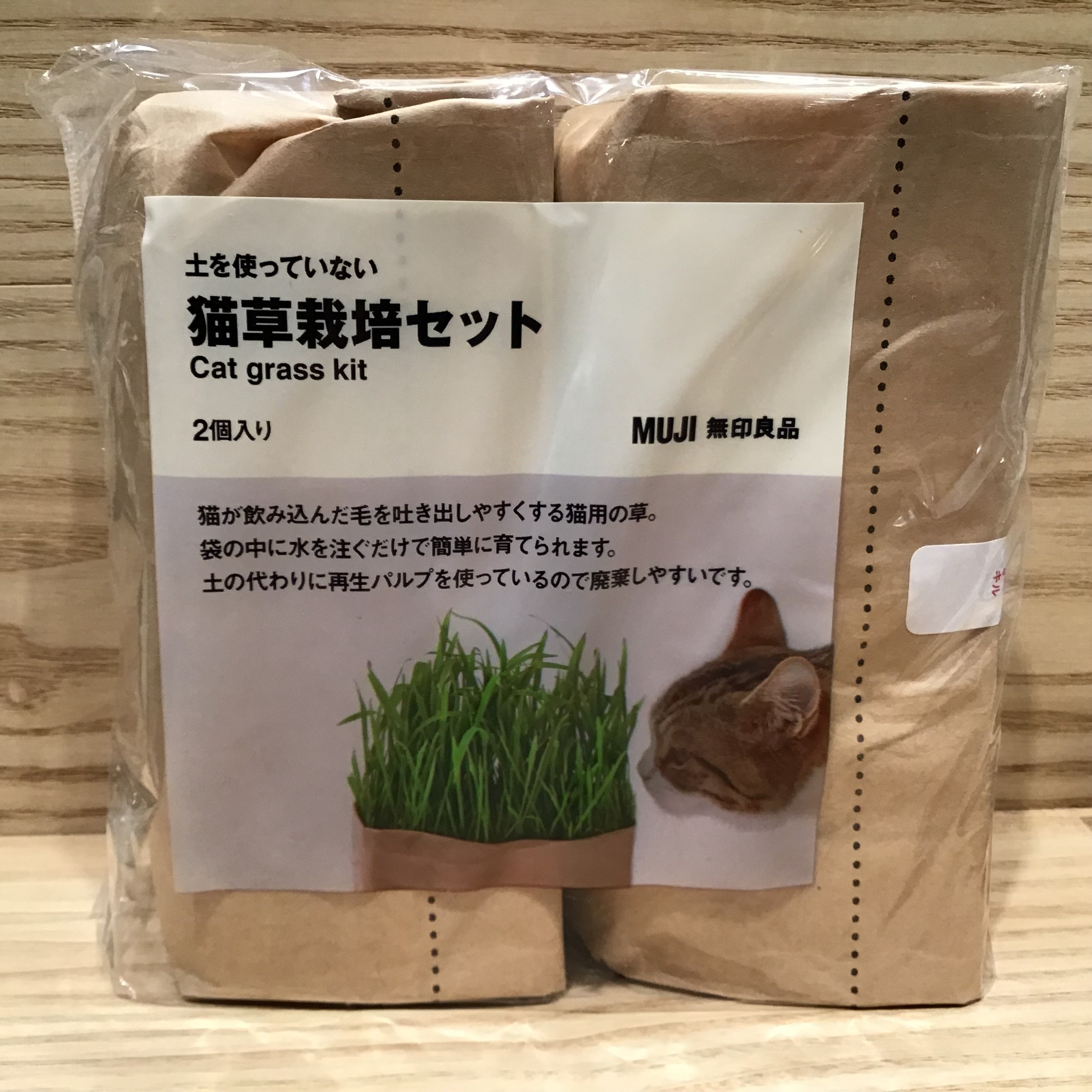 【イオンモール宮崎】可愛い家族のために。_F5pbxN