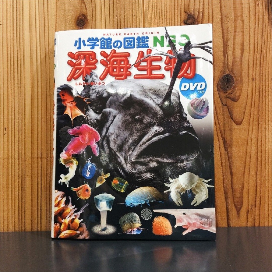 書籍⑤