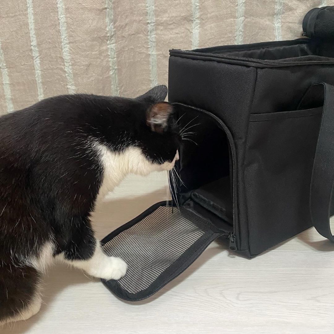 0456693_250824_01_03