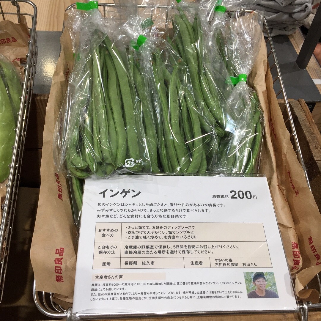 インゲン