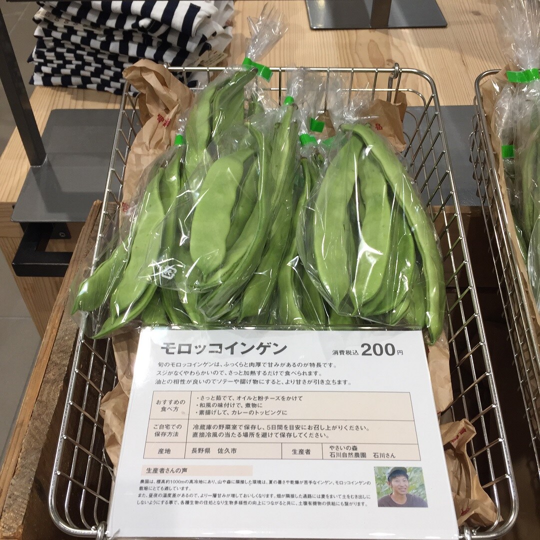 モロッコインゲン