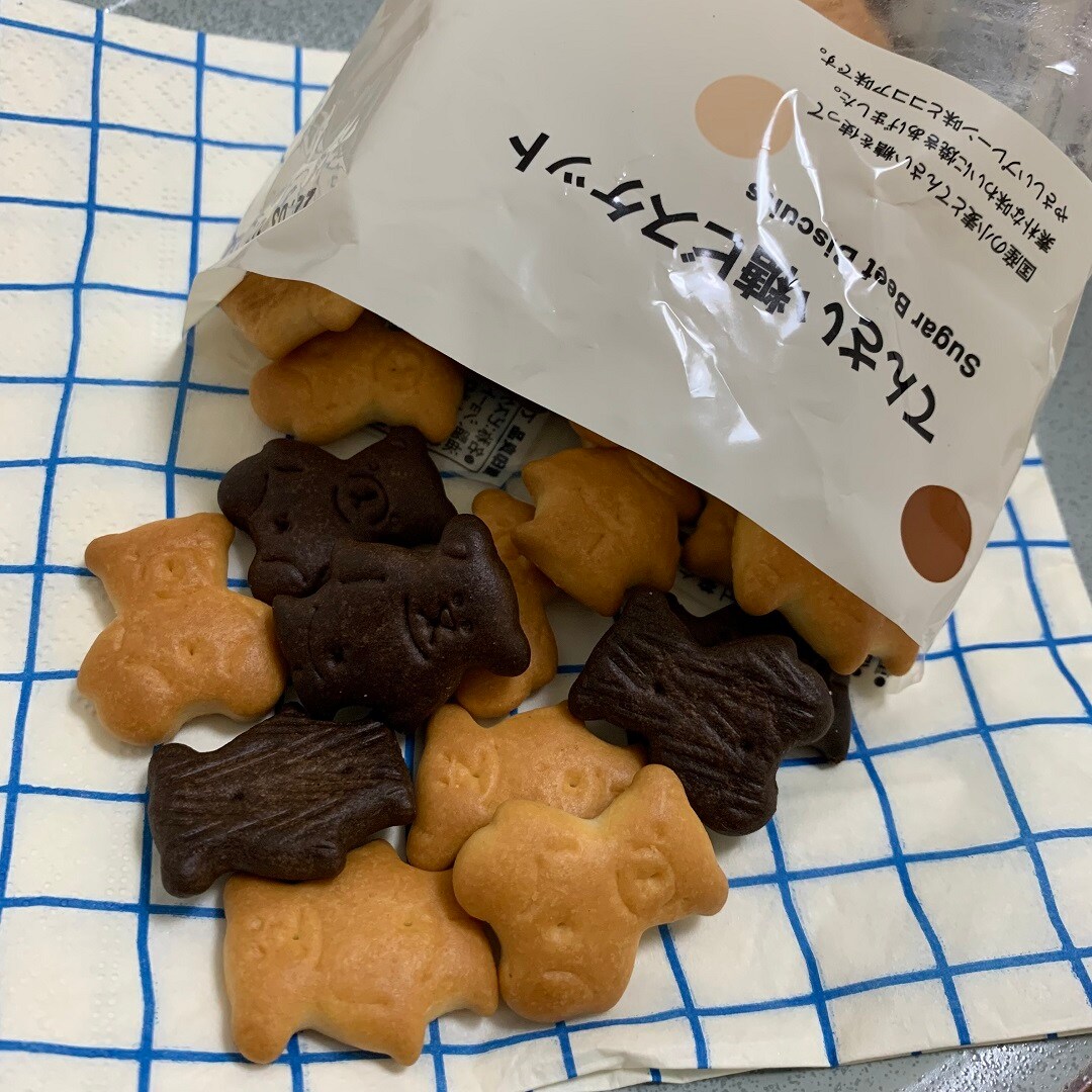 【岡山ロッツ】ビスケット