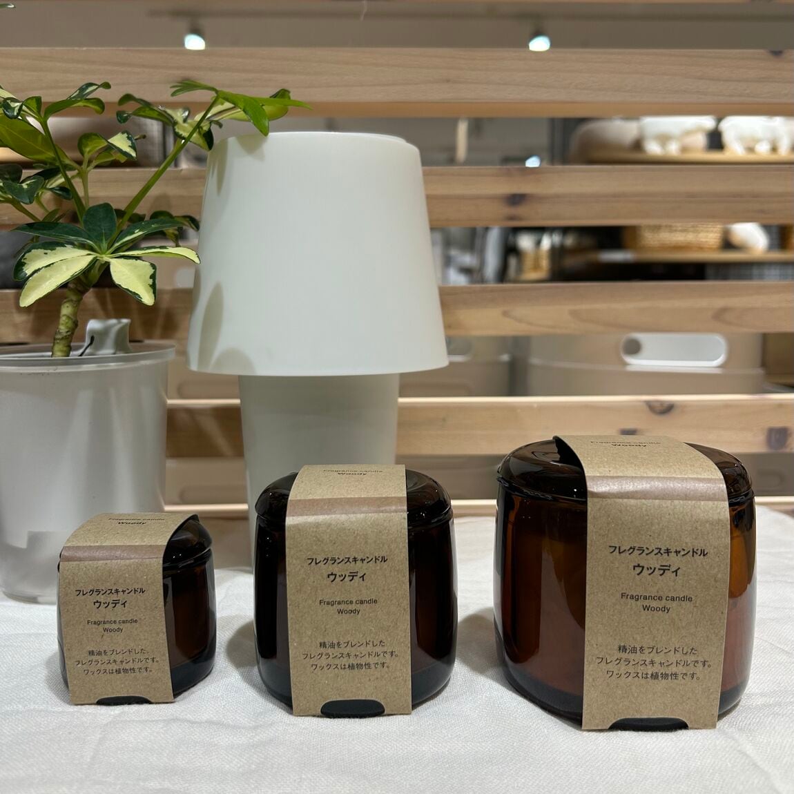 キャンドル　大きさ比較