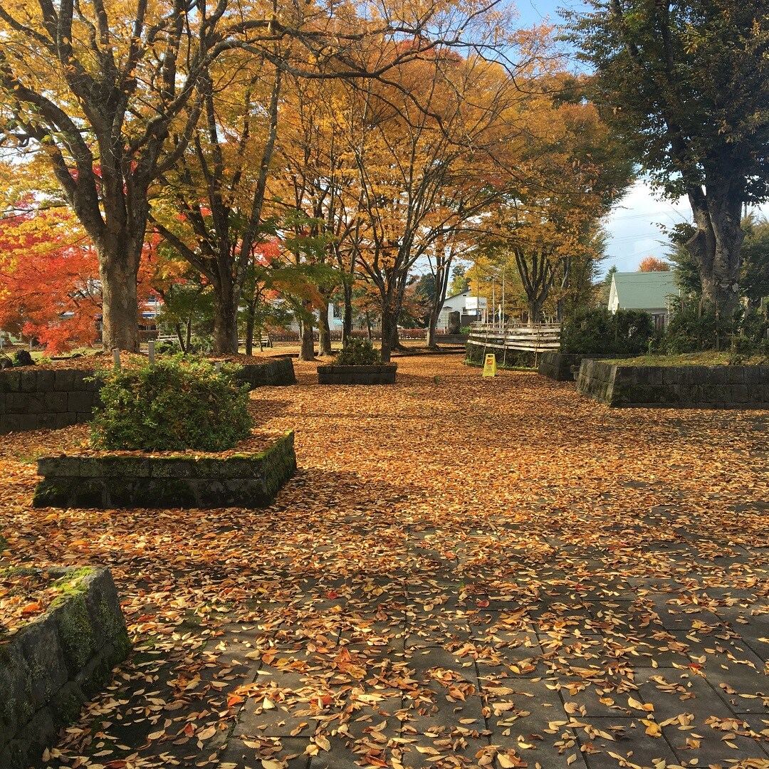 kouyou