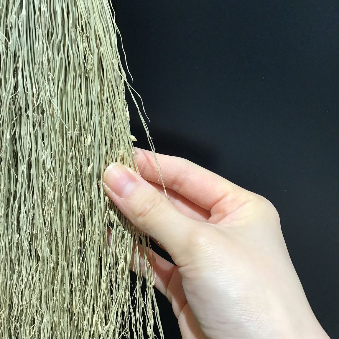 穂先