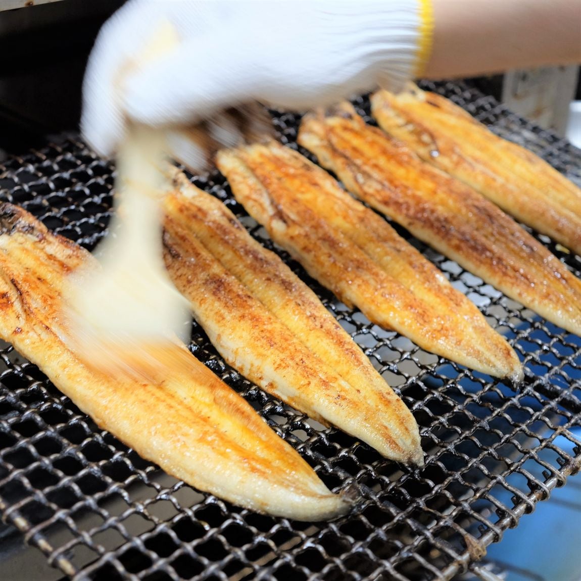 【堺北花田】うなぎのご予約承り中です｜鮮魚売場から