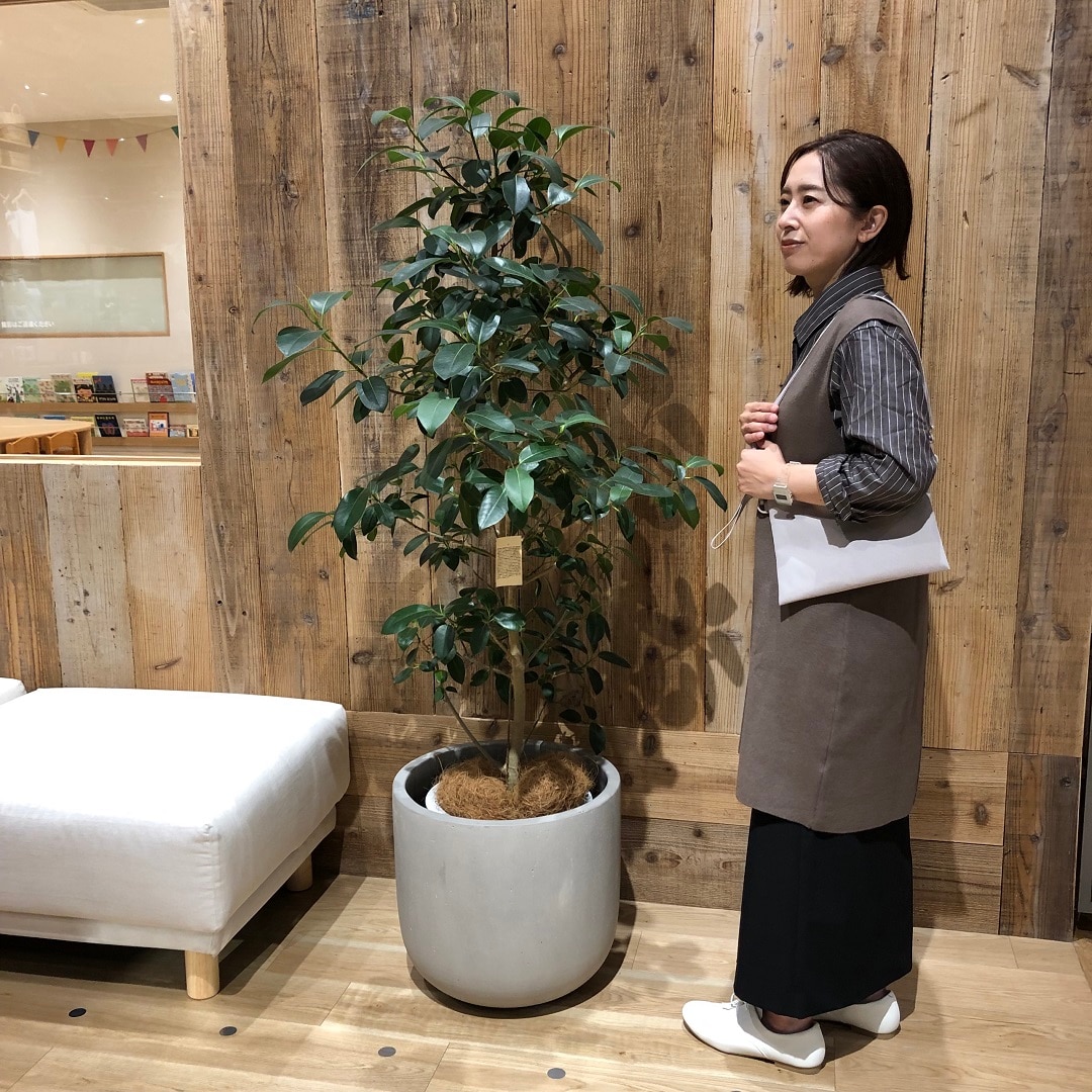【ヨークタウン小山雨ヶ谷】秋におすすめベストコーディネート