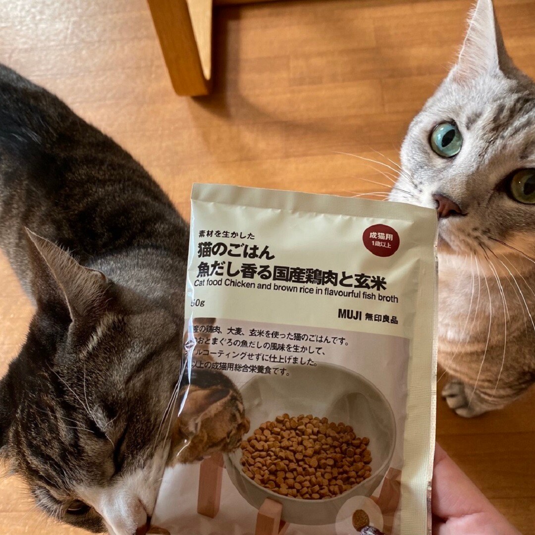 【ヨークタウン小山雨ヶ谷】猫たち満足ごはん