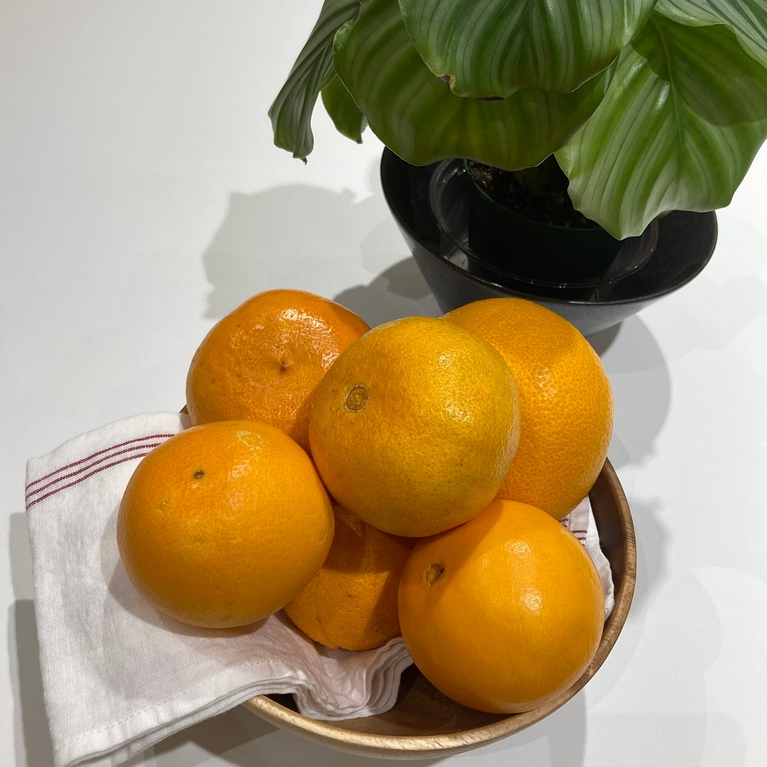 【イオンモール広島府中】今月のお野菜・果物便り