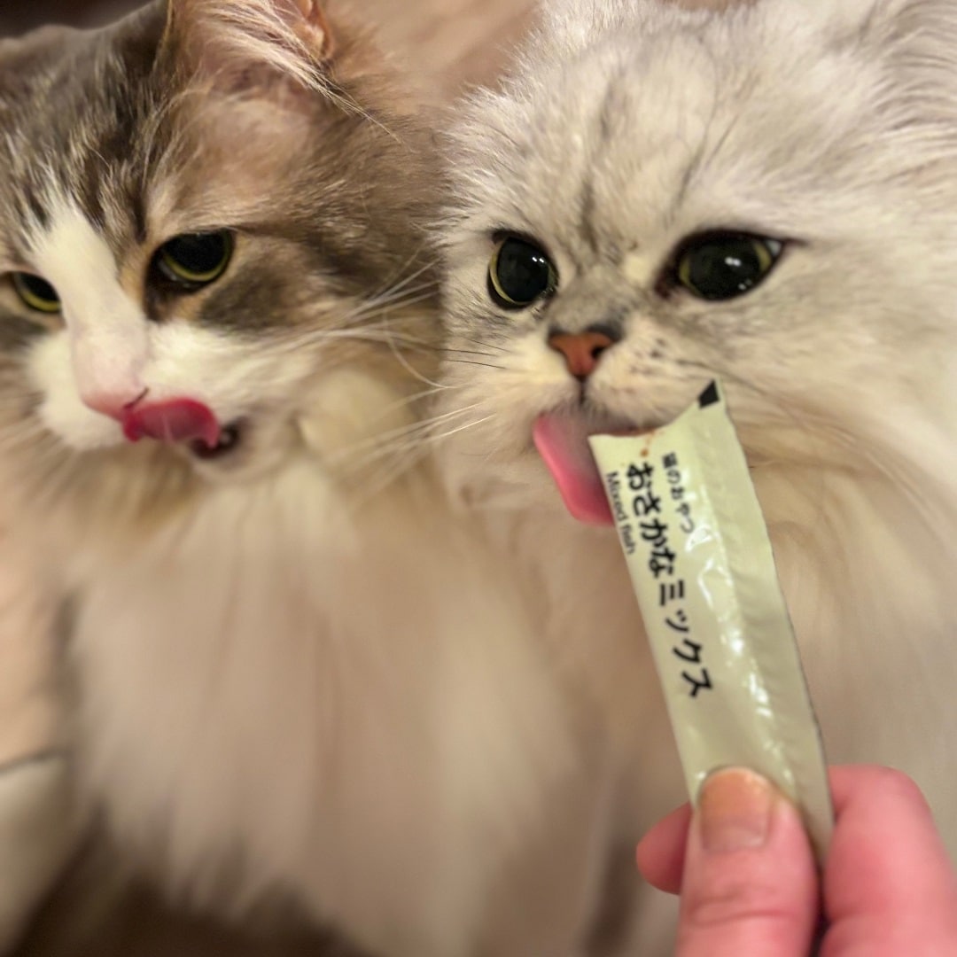 【ザ・モール仙台長町】ピューレを食べている写真
