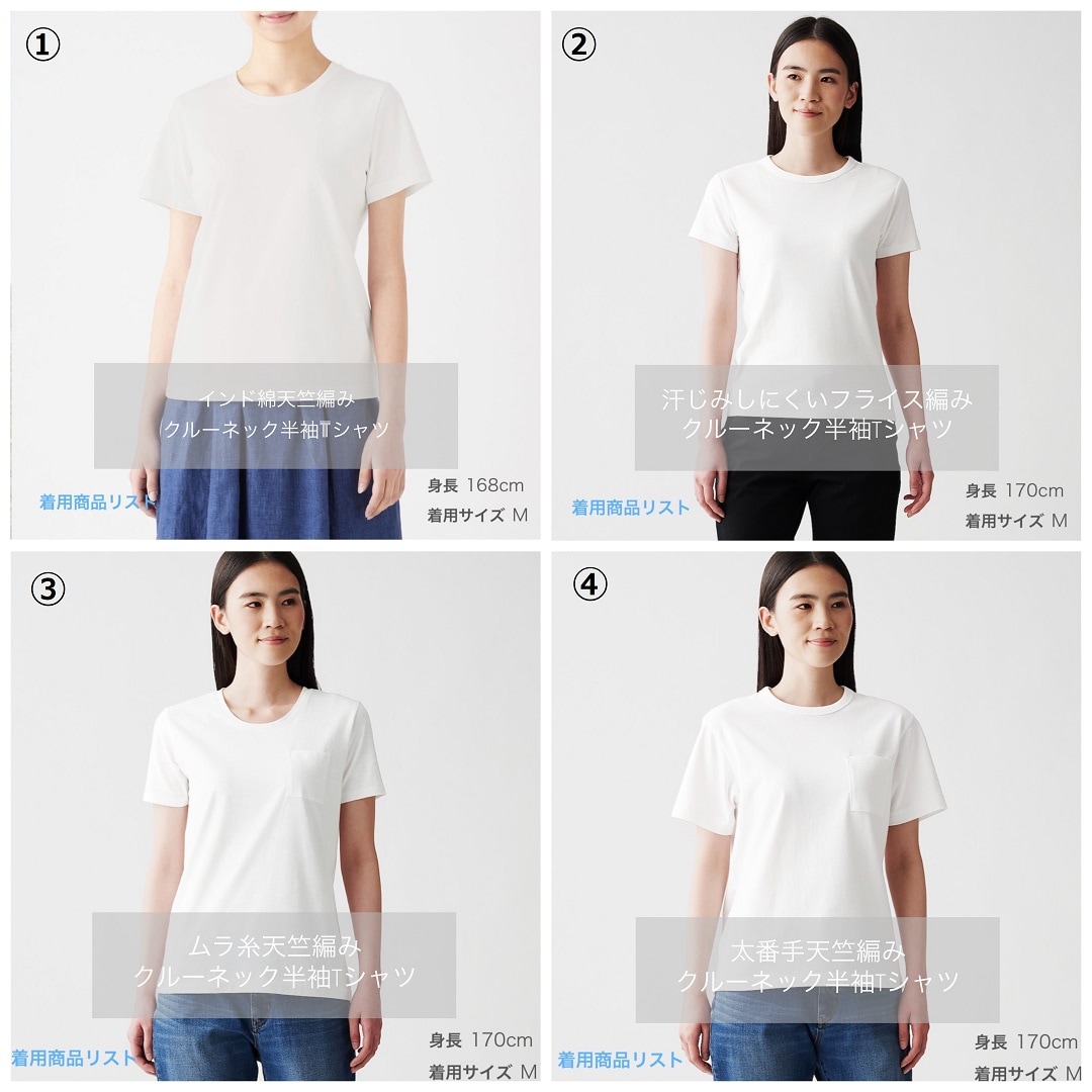 婦人Ｔシャツ一覧