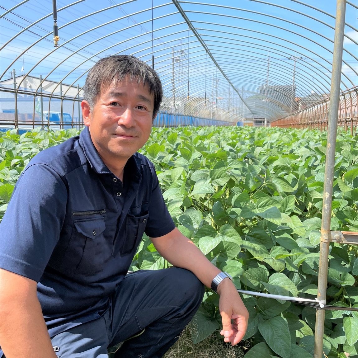 【堺北花田】結城さんの八尾えだまめ入荷しています｜青果売場から