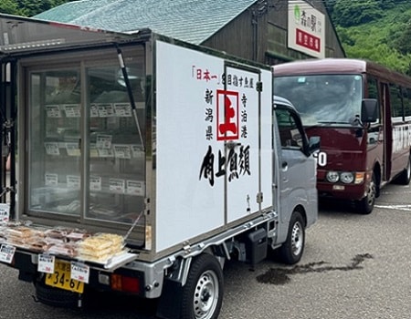 角上魚類さん