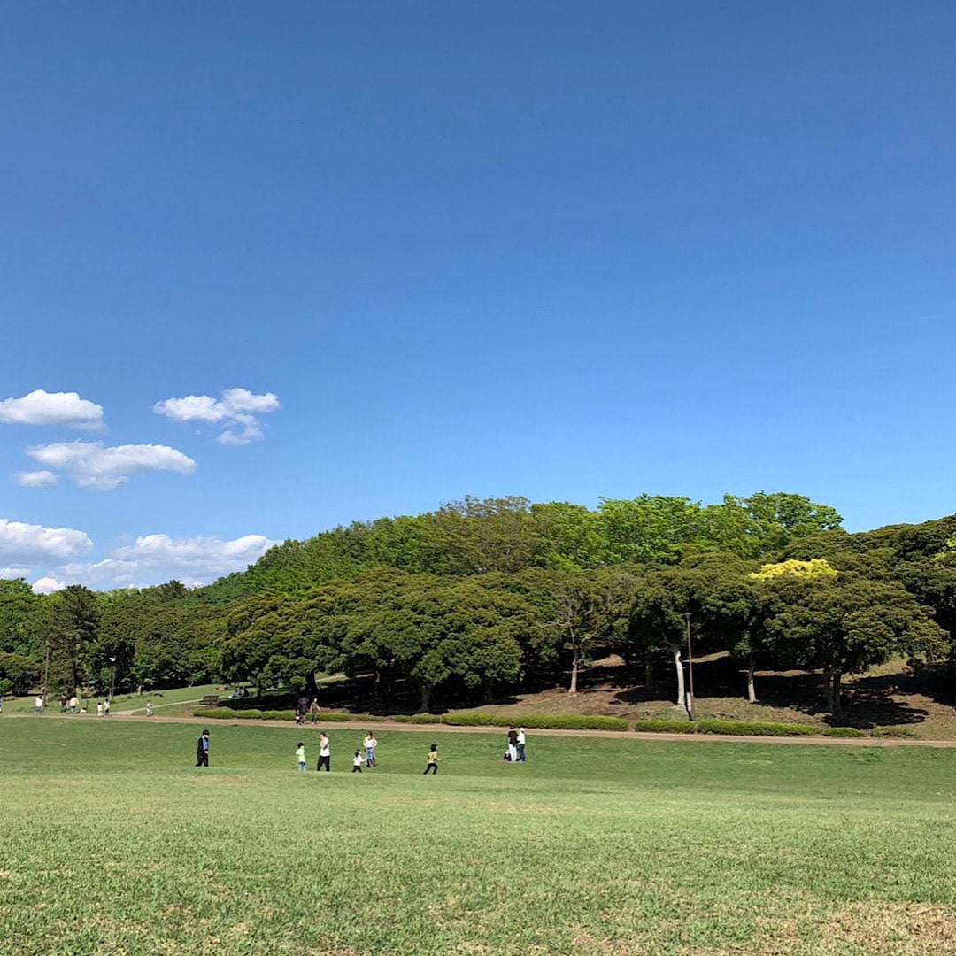 べっこう飴