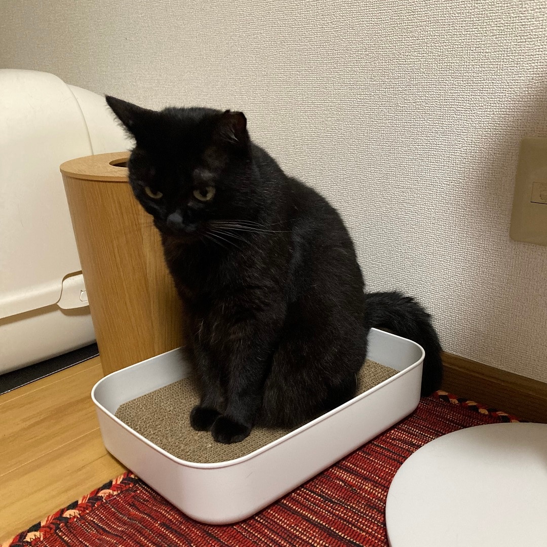 すわり