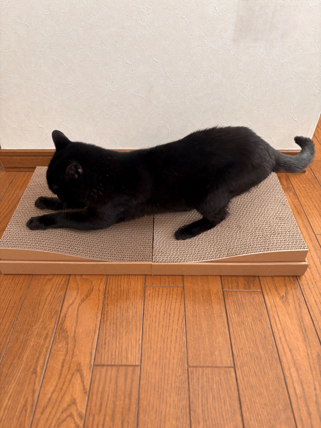 爪とぎ　すず