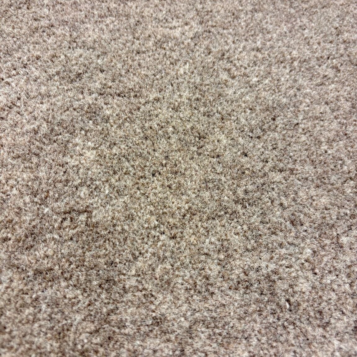 堀田アップ