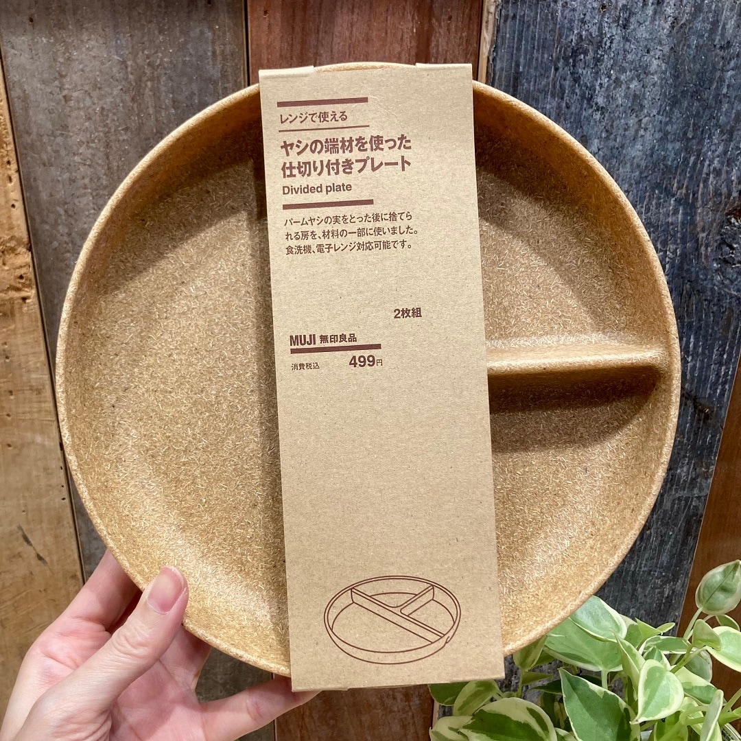 ヤシ③