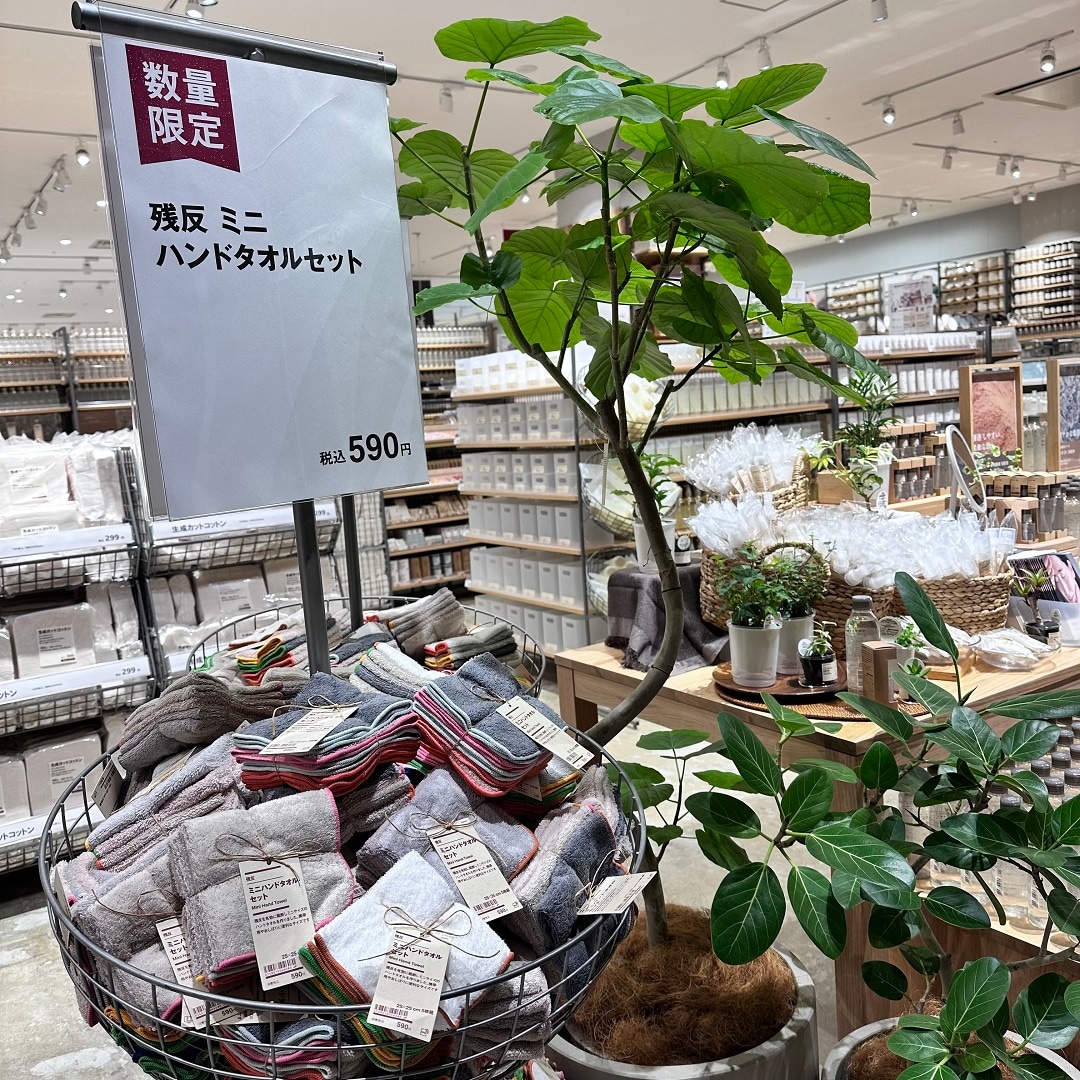 6日前