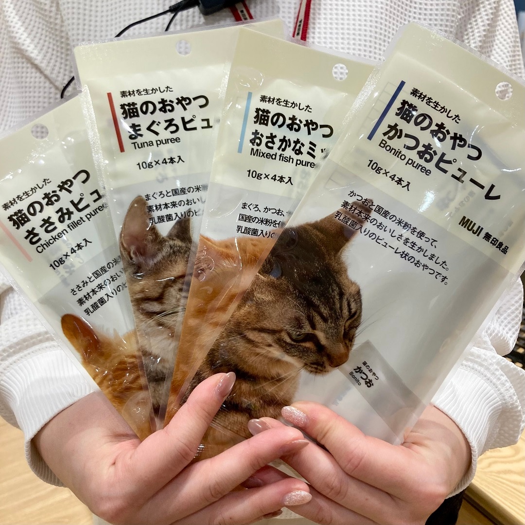 猫⑥