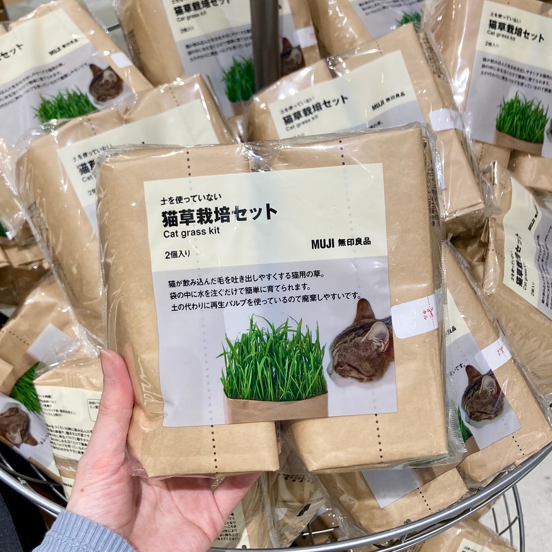 猫⑤
