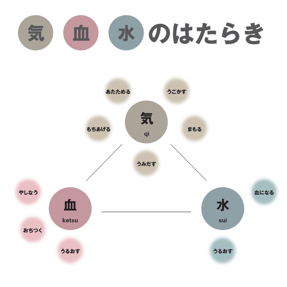 画像２　乾燥漢方　気血水
