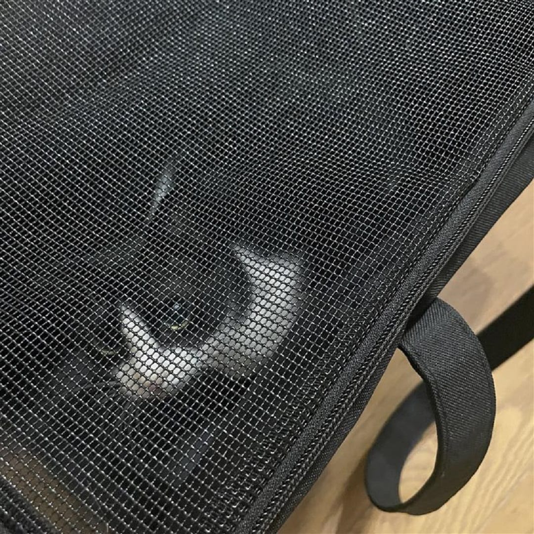 上から見ている画像