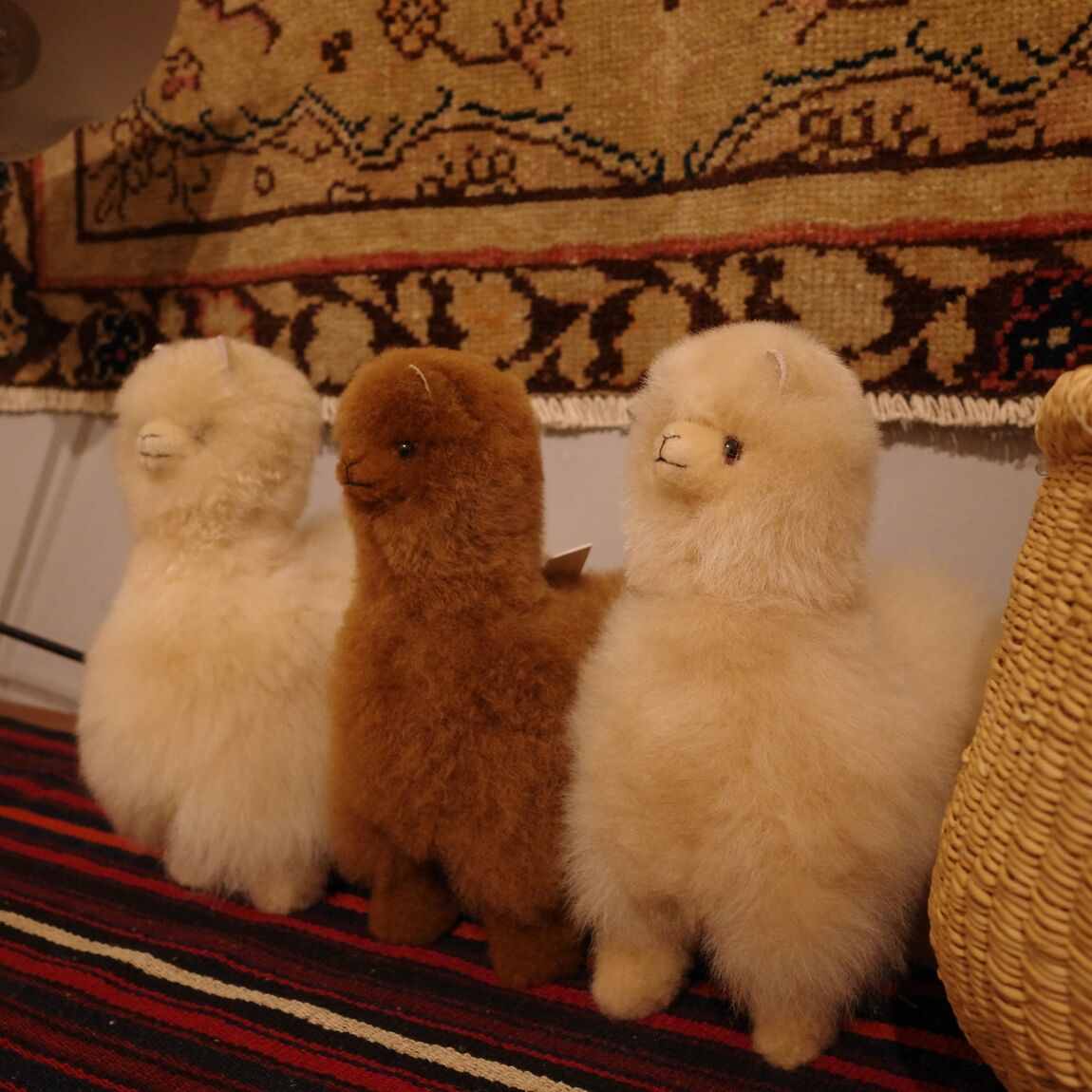 ポイントアップキャンペーン