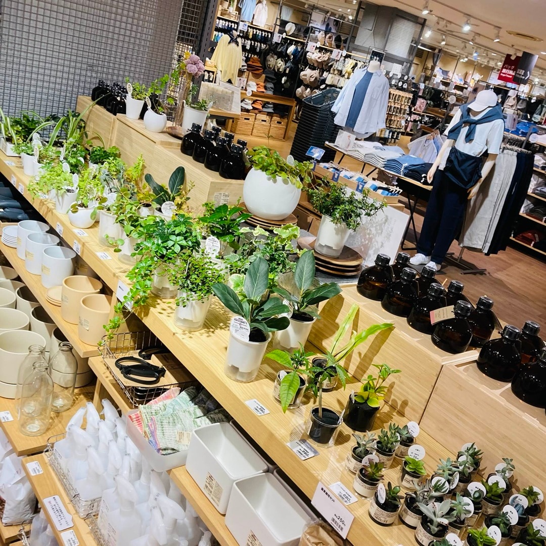 全体