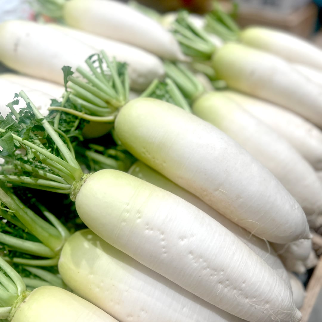 【堺北花田】林田商店さんの市場まつり開催中｜大根