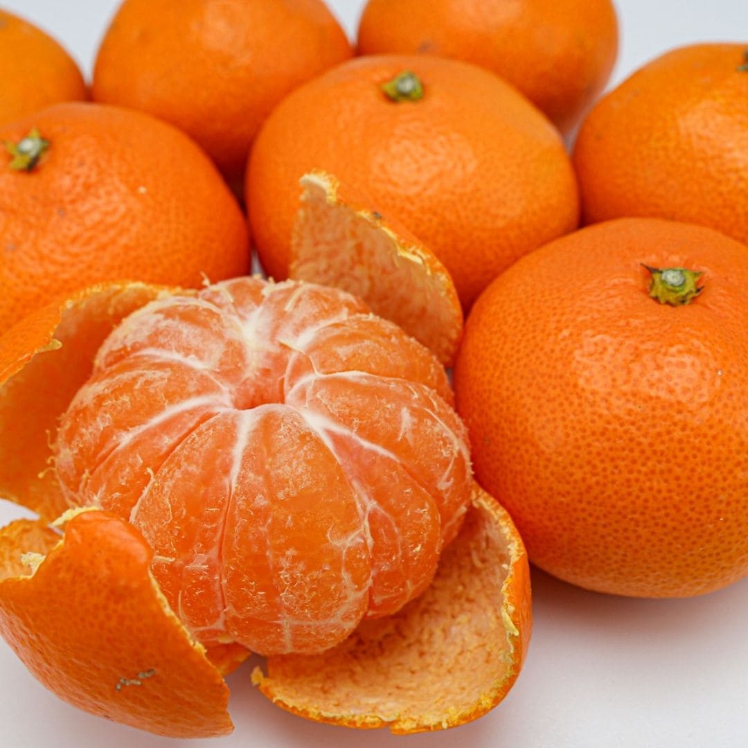 画像３　みかん