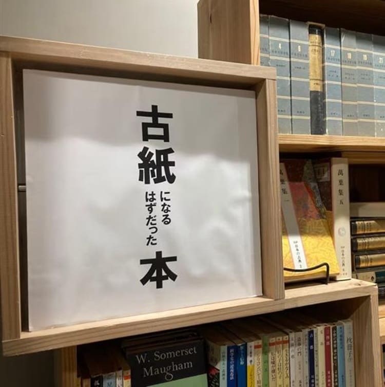 【シエスタハコダテ】「めぐりめぐる市」開催します