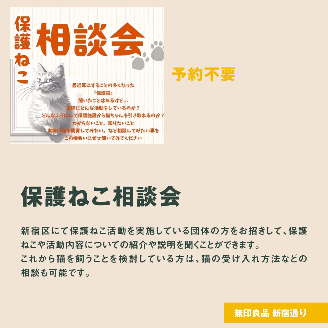新宿通り　保護猫相談会