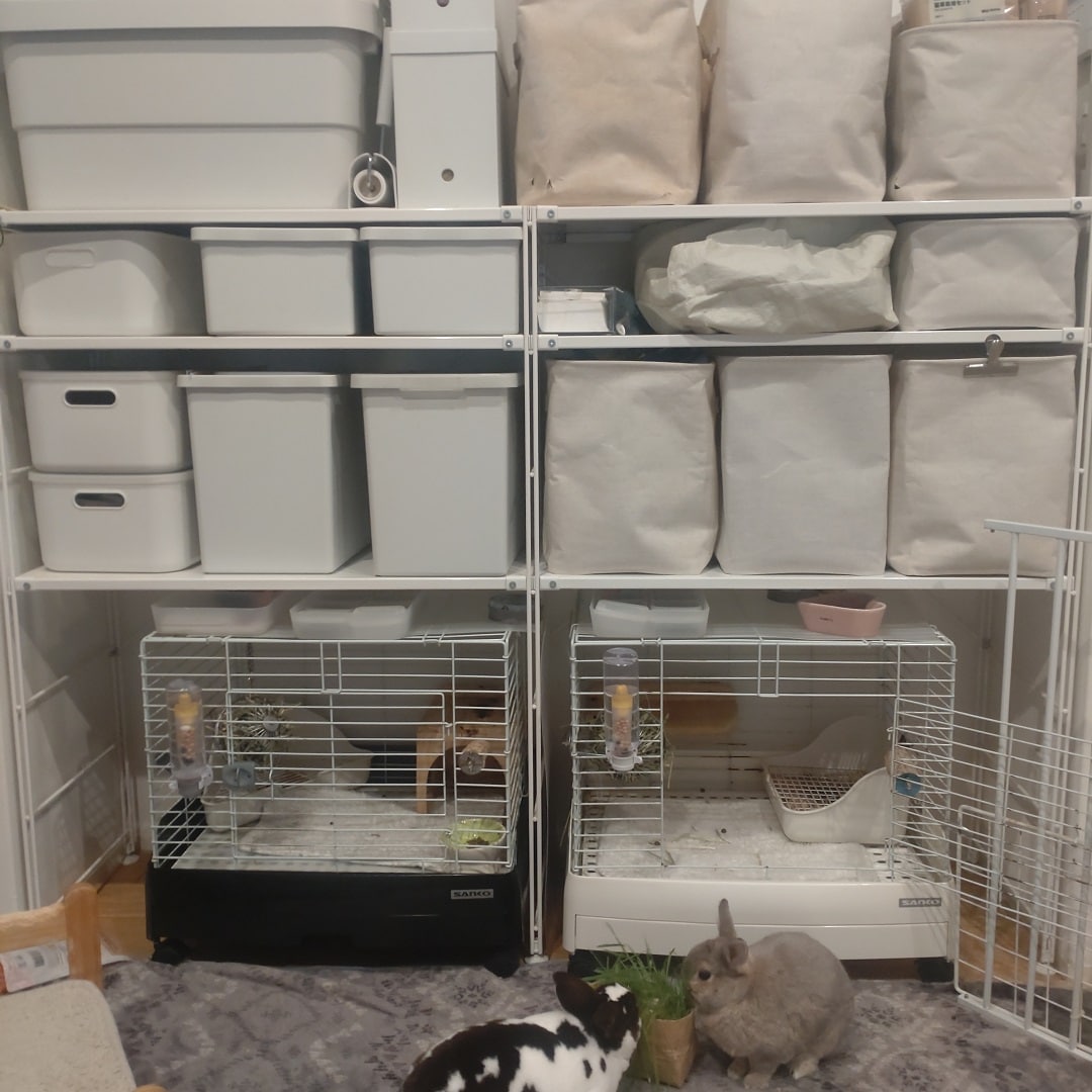 ウサギ部屋