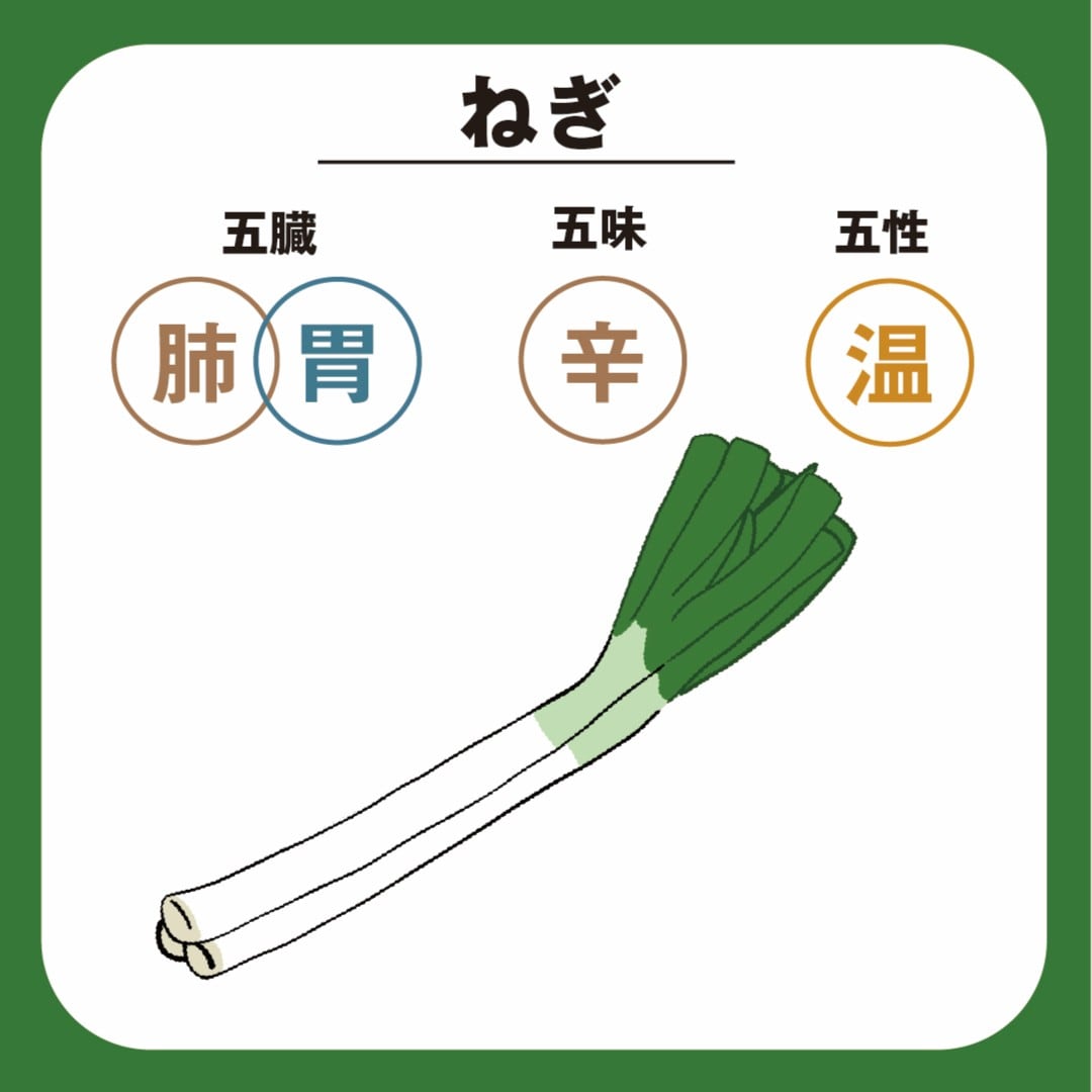 画像１　ねぎ