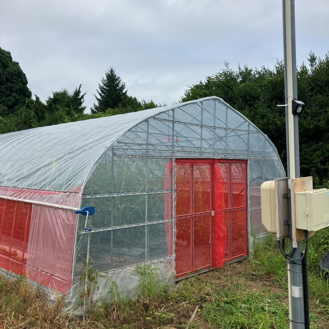 061770_20260209_00_16