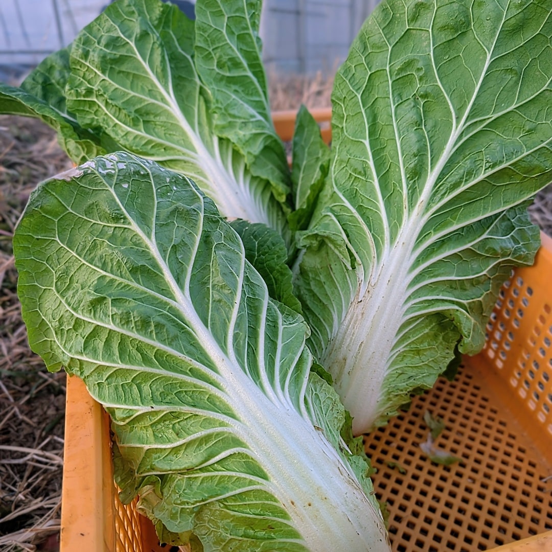 061770_20260212_00_00