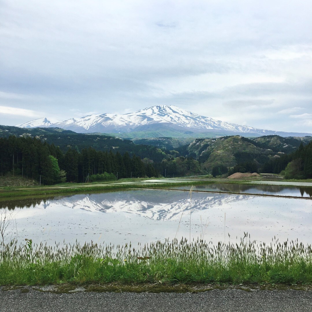 泥沢