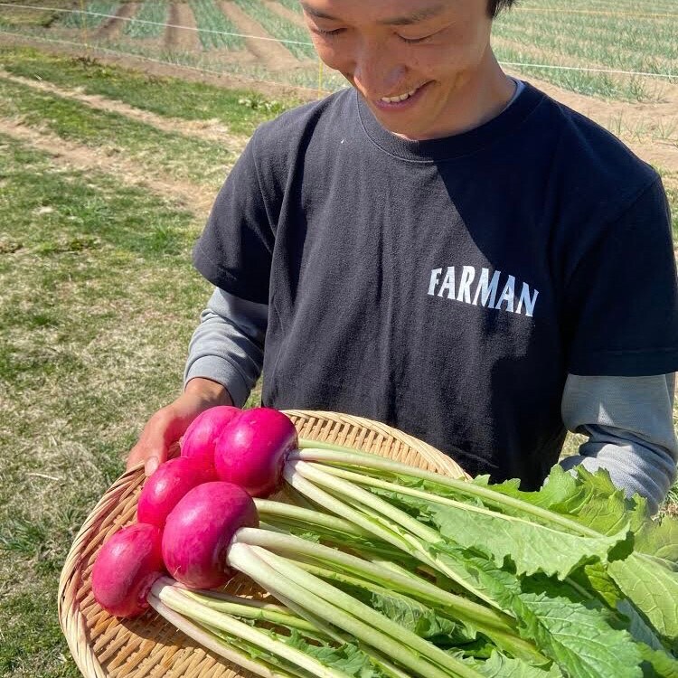 野菜写真