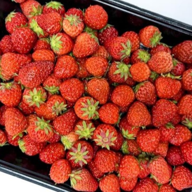 【堺北花田】月末・月初はまたがる市