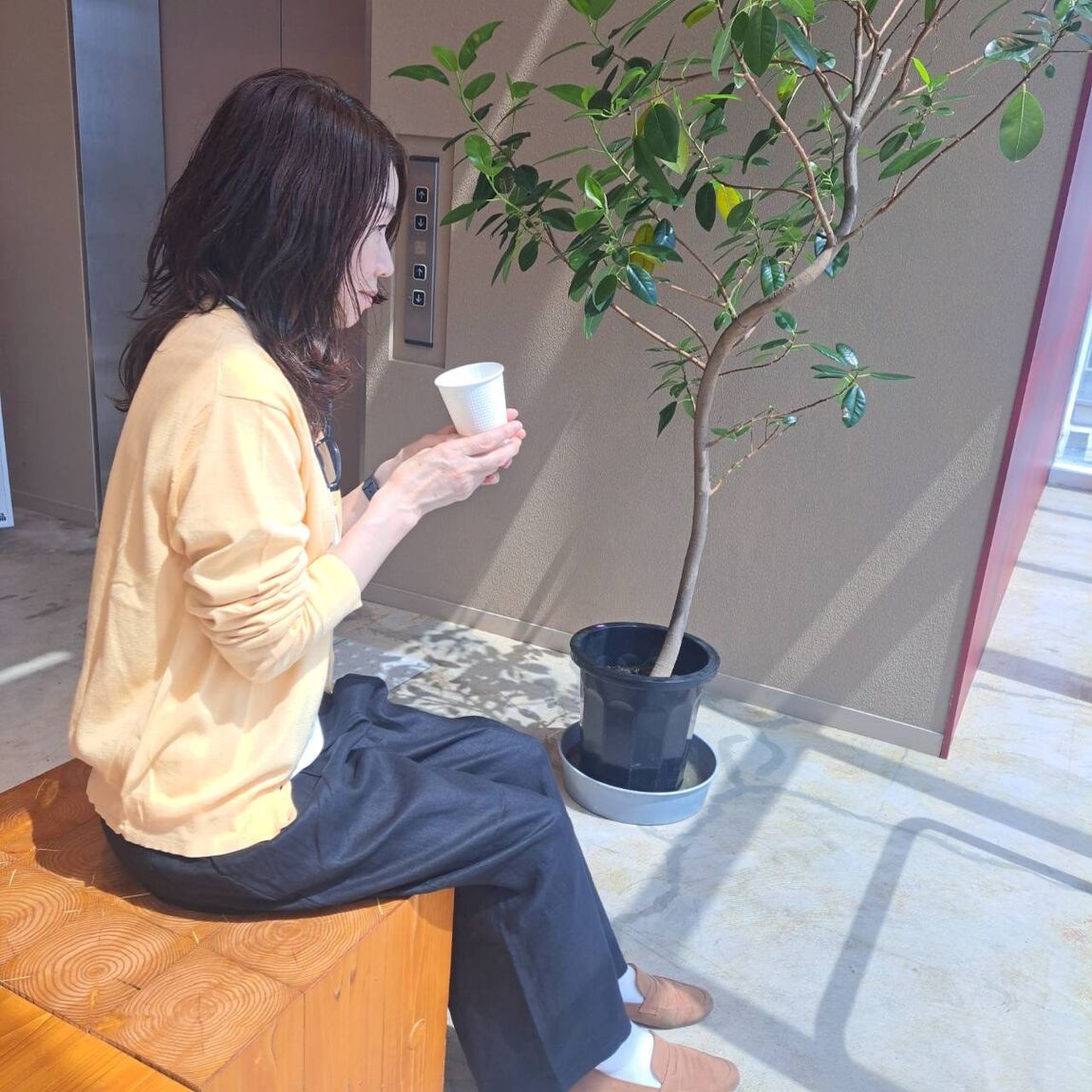 ま４