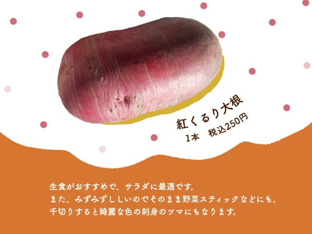 紅くるり大根