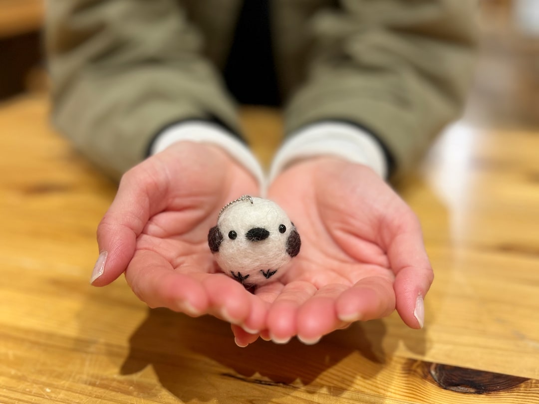 【シエスタハコダテ】木育広場ワークショップ「羊毛フェルトで作る シマエナガ」