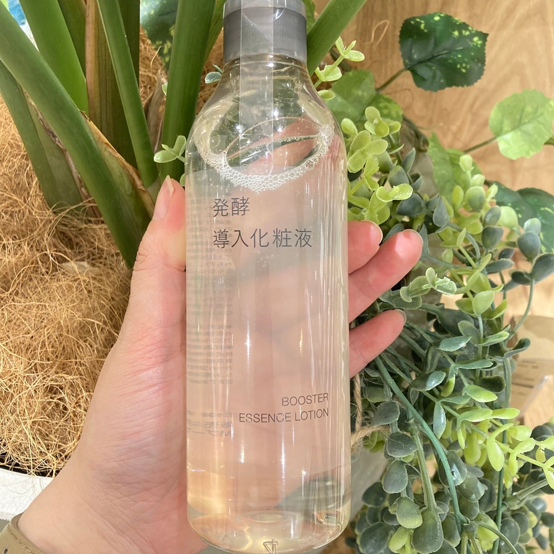 発酵導入