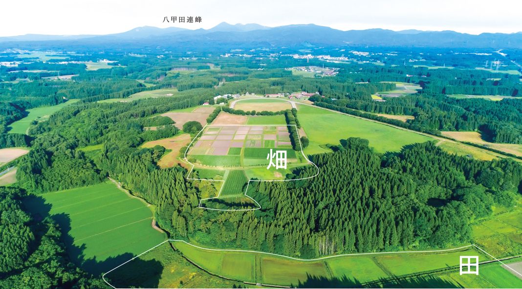 【東京農工大学府中キャンパス】イベント情報｜8/8(日)・第7回ＮＯＫＯマルシェ　出店者のご紹介_dqJC9y