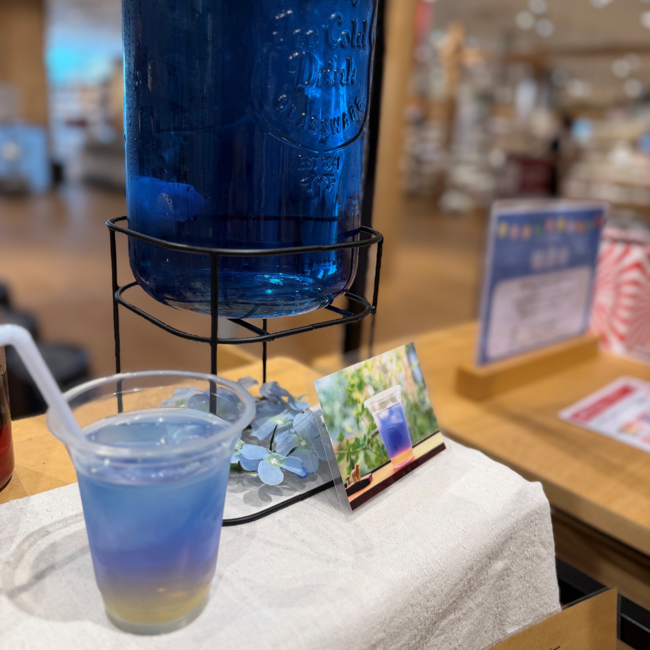 【ゆめタウン三豊】つながる市 みとよとくらしvol.29　夏の最後の思い出_bQjx0u