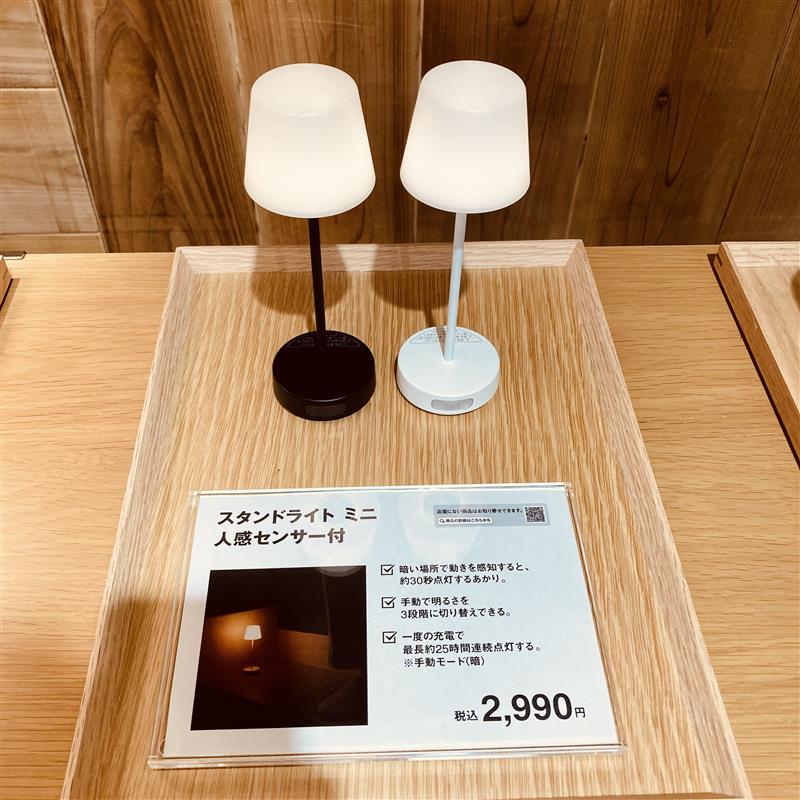 人感